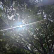 ヒメ日記 2025/05/27 09:28 投稿 ちあき(昭和38年生まれ) 熟年カップル名古屋～生電話からの営み～