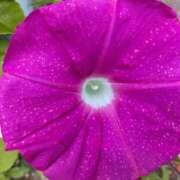 ヒメ日記 2025/08/15 23:36 投稿 ちあき(昭和38年生まれ) 熟年カップル名古屋～生電話からの営み～