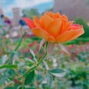 ヒメ日記 2025/09/04 08:40 投稿 ちあき(昭和38年生まれ) 熟年カップル名古屋～生電話からの営み～