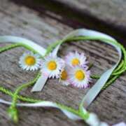 ヒメ日記 2025/10/18 18:08 投稿 ちあき(昭和38年生まれ) 熟年カップル名古屋～生電話からの営み～