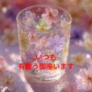 ヒメ日記 2025/11/09 22:37 投稿 ちあき(昭和38年生まれ) 熟年カップル名古屋～生電話からの営み～