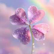 ヒメ日記 2025/12/30 14:02 投稿 ちあき(昭和38年生まれ) 熟年カップル名古屋～生電話からの営み～