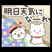 ヒメ日記 2025/12/30 23:26 投稿 ちあき(昭和38年生まれ) 熟年カップル名古屋～生電話からの営み～