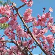 ヒメ日記 2026/02/23 10:09 投稿 ちあき(昭和38年生まれ) 熟年カップル名古屋～生電話からの営み～