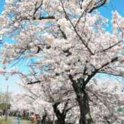 ヒメ日記 2026/03/31 17:16 投稿 ちあき(昭和38年生まれ) 熟年カップル名古屋～生電話からの営み～