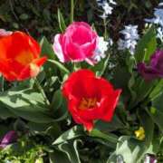 ヒメ日記 2026/04/18 17:46 投稿 ちあき(昭和38年生まれ) 熟年カップル名古屋～生電話からの営み～