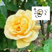 ちあき(昭和38年生まれ) こんなに早く 熟年カップル名古屋～生電話からの営み～