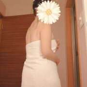 ヒメ日記 2024/12/17 04:02 投稿 ともよ(昭和46年生まれ) 熟年カップル名古屋～生電話からの営み～