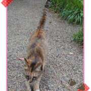 ヒメ日記 2025/05/15 12:57 投稿 ともよ(昭和46年生まれ) 熟年カップル名古屋～生電話からの営み～