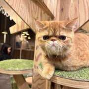 ヒメ日記 2024/12/27 10:36 投稿 ののか(昭和36年生まれ) 熟年カップル名古屋～生電話からの営み～