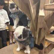 ヒメ日記 2025/03/01 22:14 投稿 ののか(昭和36年生まれ) 熟年カップル名古屋～生電話からの営み～