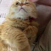 ヒメ日記 2025/03/15 12:08 投稿 ののか(昭和36年生まれ) 熟年カップル名古屋～生電話からの営み～