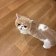 ヒメ日記 2025/09/13 13:32 投稿 ののか(昭和36年生まれ) 熟年カップル名古屋～生電話からの営み～