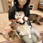 ヒメ日記 2025/11/08 20:58 投稿 ののか(昭和36年生まれ) 熟年カップル名古屋～生電話からの営み～