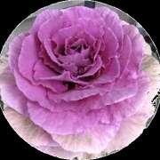 ヒメ日記 2025/01/01 11:41 投稿 まみ(昭和36年生まれ) 熟年カップル名古屋～生電話からの営み～