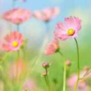 ヒメ日記 2026/01/10 22:50 投稿 みゆき(昭和41年生まれ) 熟年カップル名古屋～生電話からの営み～