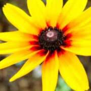 ヒメ日記 2026/01/18 19:40 投稿 みゆき(昭和41年生まれ) 熟年カップル名古屋～生電話からの営み～