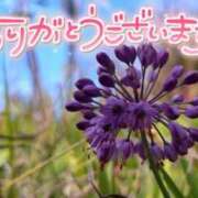 ヒメ日記 2023/11/23 22:52 投稿 みわ(昭和39年生まれ) 熟年カップル名古屋～生電話からの営み～