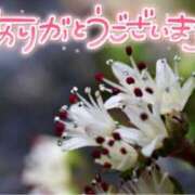 ヒメ日記 2024/04/09 22:33 投稿 みわ(昭和39年生まれ) 熟年カップル名古屋～生電話からの営み～