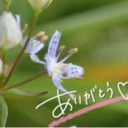 ヒメ日記 2024/12/12 21:30 投稿 みわ(昭和39年生まれ) 熟年カップル名古屋～生電話からの営み～