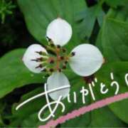 ヒメ日記 2024/12/18 22:51 投稿 みわ(昭和39年生まれ) 熟年カップル名古屋～生電話からの営み～