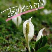 ヒメ日記 2024/12/20 19:53 投稿 みわ(昭和39年生まれ) 熟年カップル名古屋～生電話からの営み～