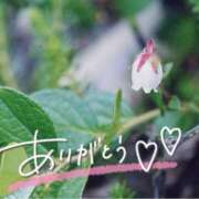 ヒメ日記 2025/01/07 22:15 投稿 みわ(昭和39年生まれ) 熟年カップル名古屋～生電話からの営み～