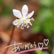 ヒメ日記 2025/01/08 22:05 投稿 みわ(昭和39年生まれ) 熟年カップル名古屋～生電話からの営み～