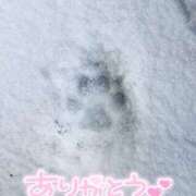 ヒメ日記 2025/01/18 21:30 投稿 みわ(昭和39年生まれ) 熟年カップル名古屋～生電話からの営み～