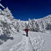 ヒメ日記 2025/02/16 21:59 投稿 みわ(昭和39年生まれ) 熟年カップル名古屋～生電話からの営み～