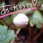 ヒメ日記 2025/03/04 21:08 投稿 みわ(昭和39年生まれ) 熟年カップル名古屋～生電話からの営み～