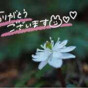 ヒメ日記 2025/03/06 21:21 投稿 みわ(昭和39年生まれ) 熟年カップル名古屋～生電話からの営み～