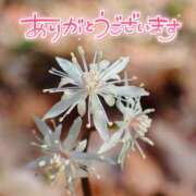ヒメ日記 2025/03/12 22:04 投稿 みわ(昭和39年生まれ) 熟年カップル名古屋～生電話からの営み～