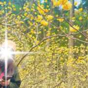 ヒメ日記 2025/03/27 13:48 投稿 みわ(昭和39年生まれ) 熟年カップル名古屋～生電話からの営み～