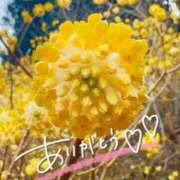 ヒメ日記 2025/03/28 21:26 投稿 みわ(昭和39年生まれ) 熟年カップル名古屋～生電話からの営み～