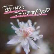 ヒメ日記 2025/03/29 22:22 投稿 みわ(昭和39年生まれ) 熟年カップル名古屋～生電話からの営み～