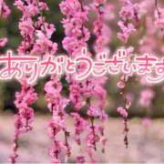 ヒメ日記 2025/03/31 21:48 投稿 みわ(昭和39年生まれ) 熟年カップル名古屋～生電話からの営み～