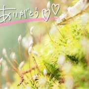 ヒメ日記 2025/04/03 21:28 投稿 みわ(昭和39年生まれ) 熟年カップル名古屋～生電話からの営み～