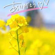 ヒメ日記 2025/04/08 21:46 投稿 みわ(昭和39年生まれ) 熟年カップル名古屋～生電話からの営み～