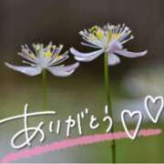 ヒメ日記 2025/04/10 21:54 投稿 みわ(昭和39年生まれ) 熟年カップル名古屋～生電話からの営み～