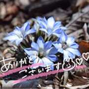 ヒメ日記 2025/04/17 22:28 投稿 みわ(昭和39年生まれ) 熟年カップル名古屋～生電話からの営み～