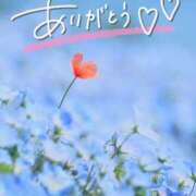 ヒメ日記 2025/04/21 21:37 投稿 みわ(昭和39年生まれ) 熟年カップル名古屋～生電話からの営み～