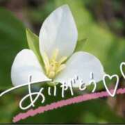 ヒメ日記 2025/05/03 21:28 投稿 みわ(昭和39年生まれ) 熟年カップル名古屋～生電話からの営み～