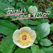 ヒメ日記 2025/05/04 21:58 投稿 みわ(昭和39年生まれ) 熟年カップル名古屋～生電話からの営み～