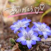 ヒメ日記 2025/05/13 21:53 投稿 みわ(昭和39年生まれ) 熟年カップル名古屋～生電話からの営み～