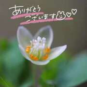 ヒメ日記 2025/05/23 22:15 投稿 みわ(昭和39年生まれ) 熟年カップル名古屋～生電話からの営み～