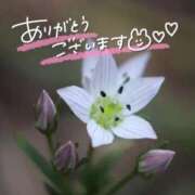 ヒメ日記 2025/05/29 22:00 投稿 みわ(昭和39年生まれ) 熟年カップル名古屋～生電話からの営み～