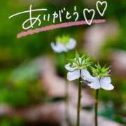 ヒメ日記 2025/05/30 22:26 投稿 みわ(昭和39年生まれ) 熟年カップル名古屋～生電話からの営み～