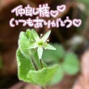 ヒメ日記 2025/06/02 21:38 投稿 みわ(昭和39年生まれ) 熟年カップル名古屋～生電話からの営み～