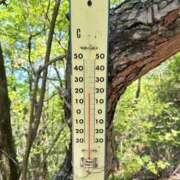 ヒメ日記 2025/06/05 09:12 投稿 みわ(昭和39年生まれ) 熟年カップル名古屋～生電話からの営み～